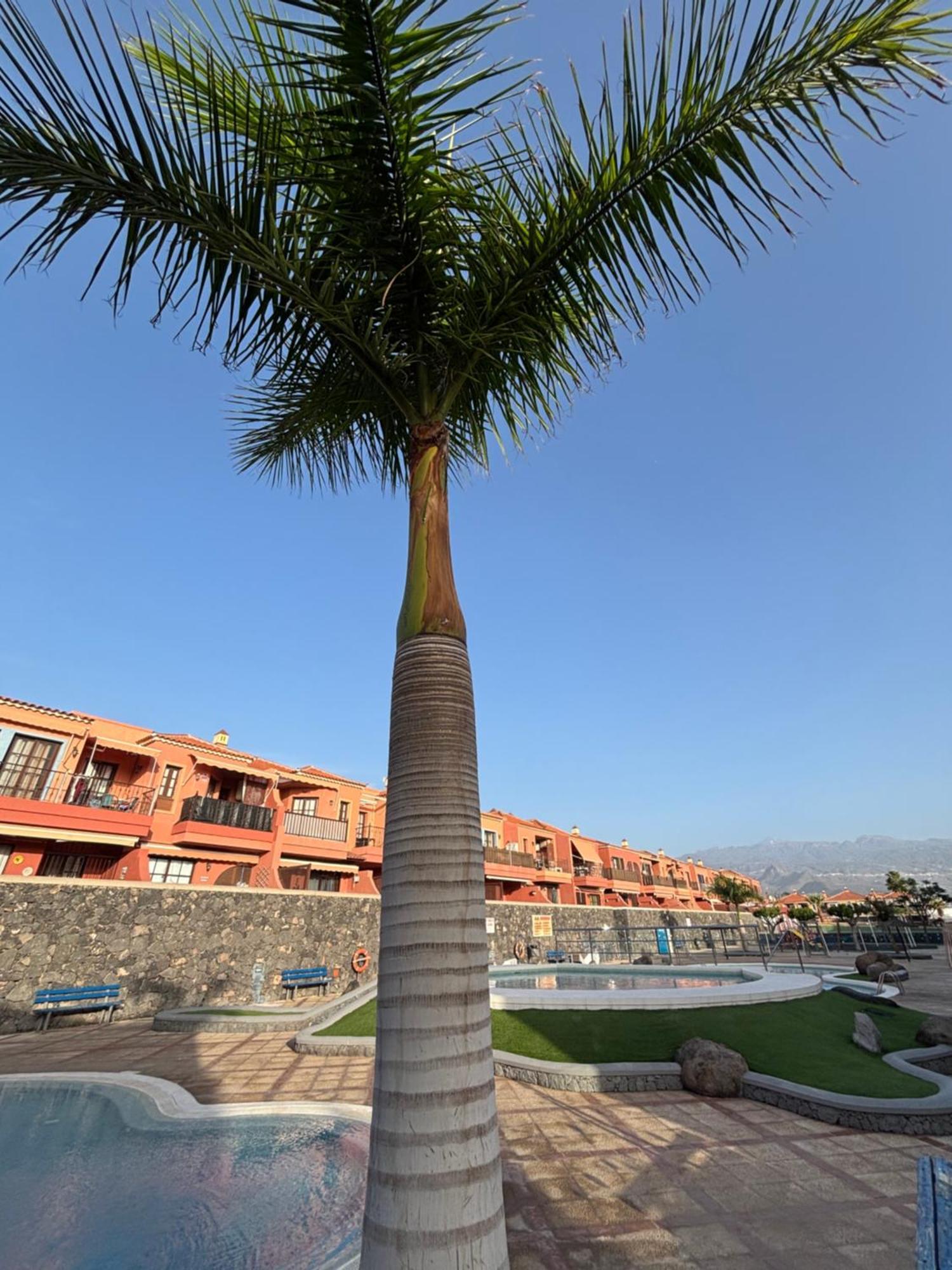 Apartment Moderno
