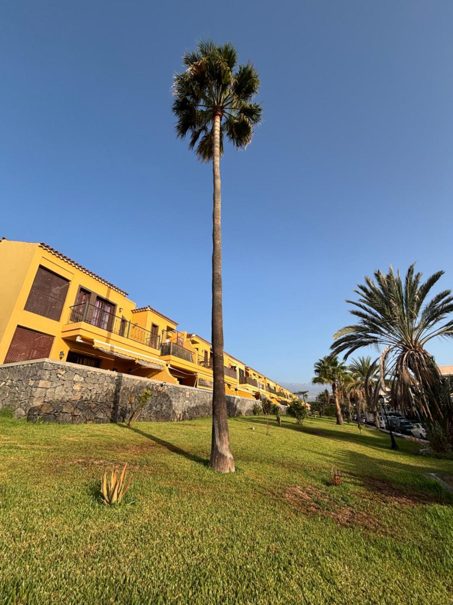 Moderno Apartment Costa Del Silencio